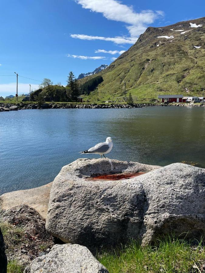 Brustranda Fjordcamping Valberg Esterno foto